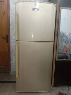 Haier