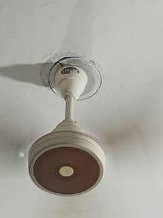 2 used ceiling Fan for sale