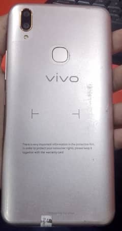 Vivo