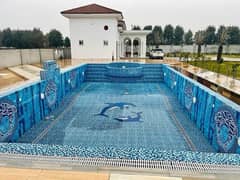farm house for rent in Lahore & swimming pool for rent & farmhouse