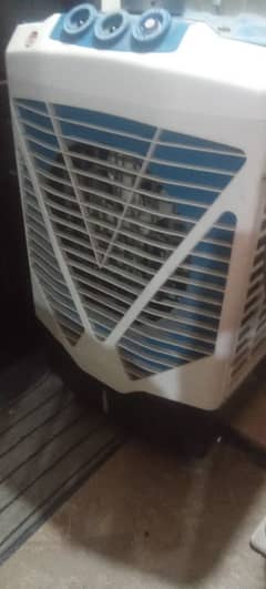 220 volt large room cooler