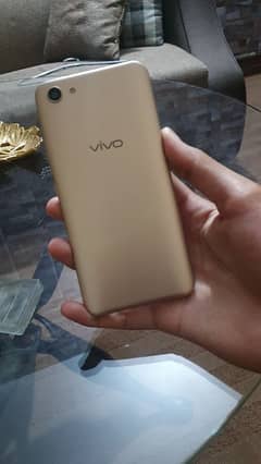 VIVO