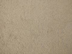 beige colour carpet
