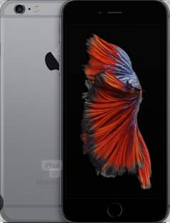 Iphone 6s plus