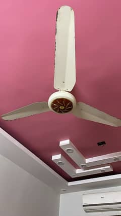 fan for sale