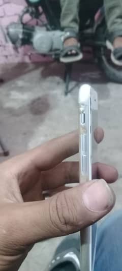 03241427336