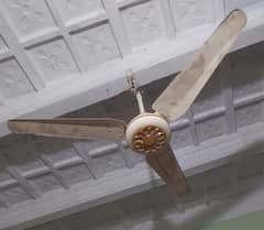 Rado celling fan