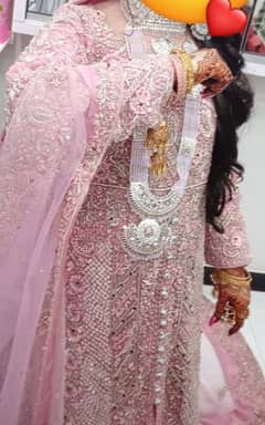 walima suit, new