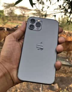 Iphone 12Pro 256Gb pta Approved