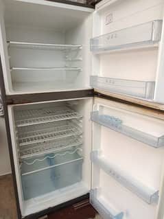 haiar jumbo fridge