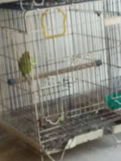 I