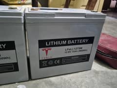 Lithium battery LFeLi-1275M 12.8V 75Amp
