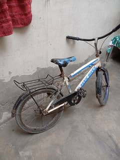 03041025778 cal or WhatsApp