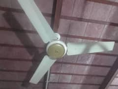 ceiling fan bilkul Ok