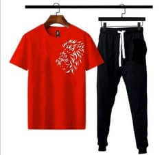 2 pcs Men's polyester dri fit printed track suit