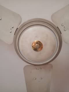 ceiling fan