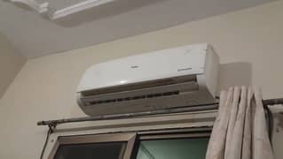 haier