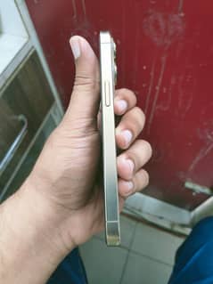 iPhone 13pro PTA