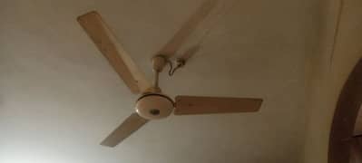 pak fan