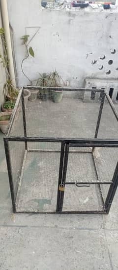 iron cage