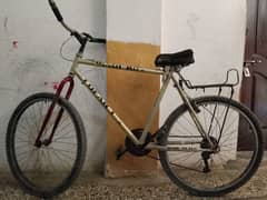 Phoenix cycle