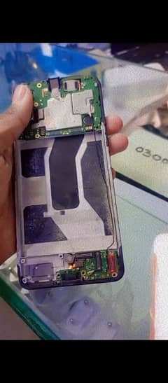 vivo
