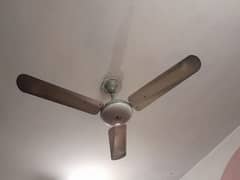 all