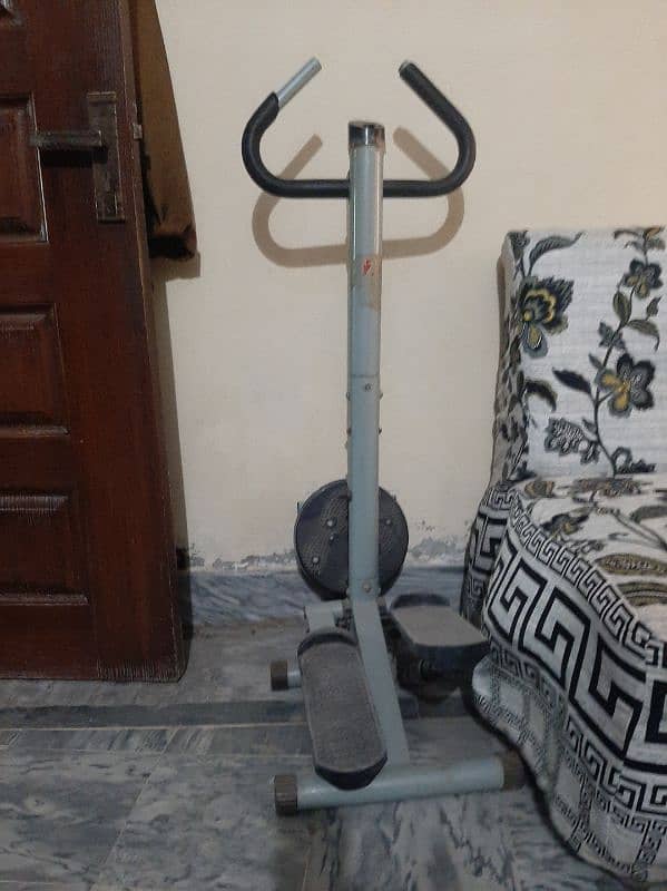 Exercise stepper with twister 0