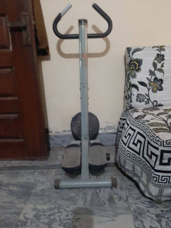 Exercise stepper with twister 1