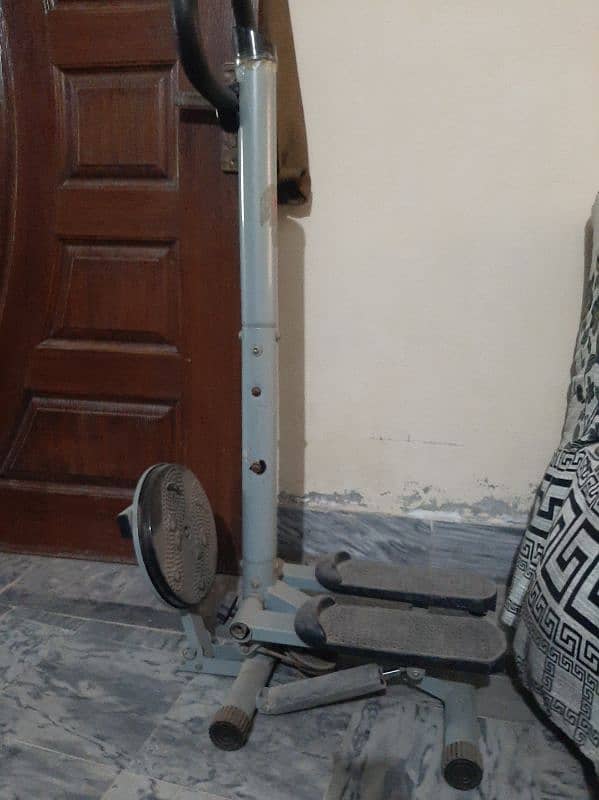 Exercise stepper with twister 2