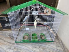 Budgies,