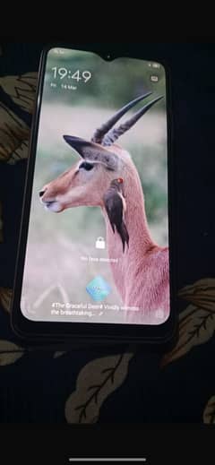 Vivo S1 pro 4 RAM 128GP 03084059241