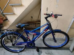 Cycle