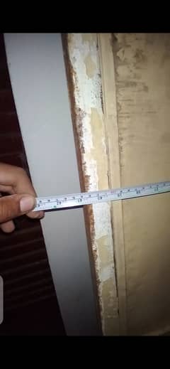 Heavy weight best double pala door