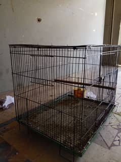 bird cage