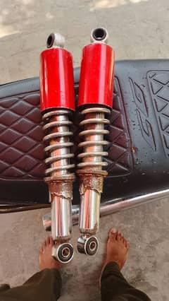 70cc united back shok