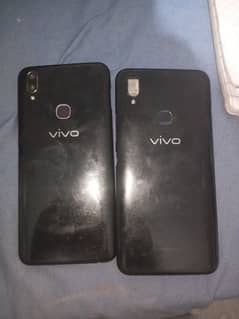vivo