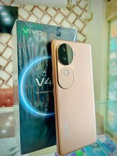 vivo v40e 8gb or 256gb
