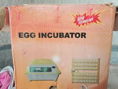 incubator for Sale