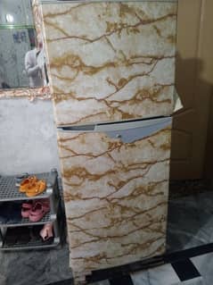 PEL Medium fridge