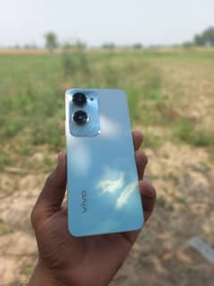 vivo