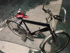 Cycle - Size 26