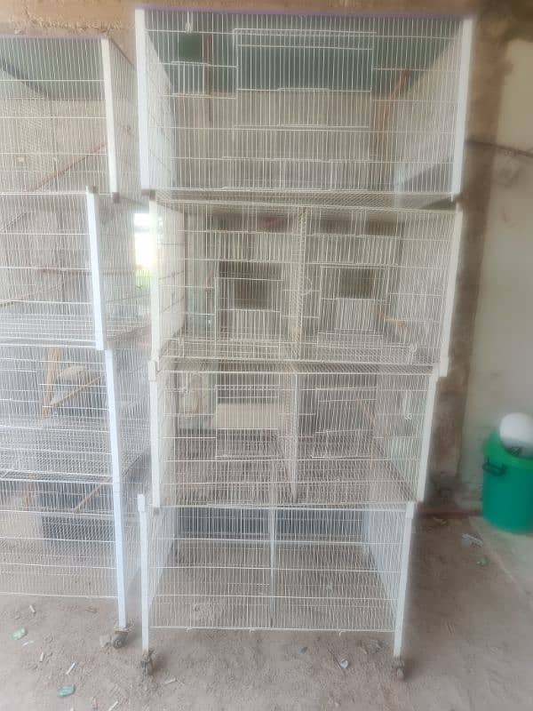 Beautiful view of Parrot Cages For Rent Long Term Rentals