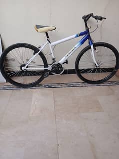 phoenix road bike
