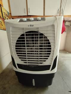ECM