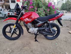 ybr125g