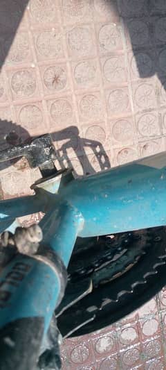 my dolphin river for sale