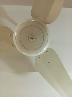 SK