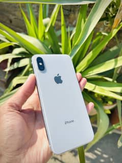 Iphone x board need pta approved ya non pta