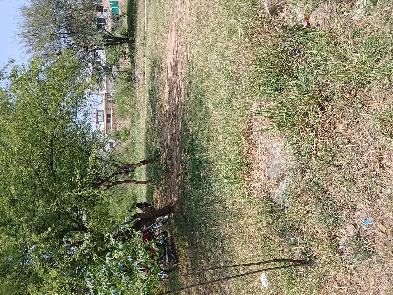 D-12/1 35*70 Corner Plot For Sale 6